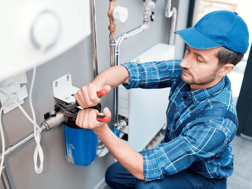 CONVIÉRTASE EN DISTRIBUIDOR